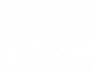 SAVN Travaux _travaux_métropole_lilloise_Lille_Travaux_Publics_logo